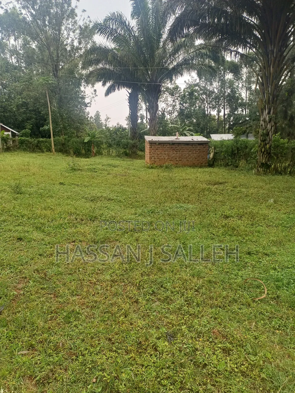 3 Plots 4 Sale St Peters Mumias
