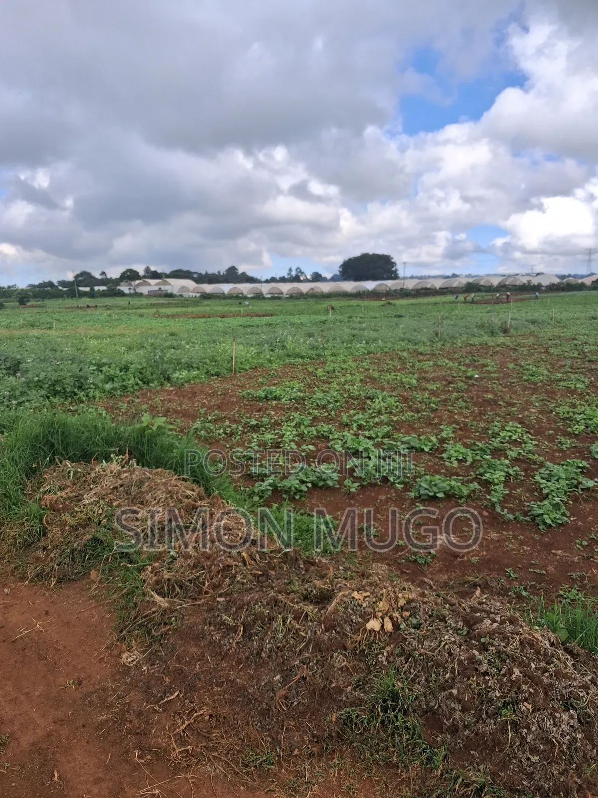 Redhill Limuru Road Prime 1.5 Acres Fairy Flat. Ideal for Town Houses