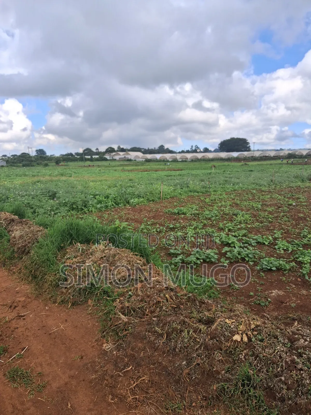 Redhill Limuru Road Prime 1.5 Acres Fairy Flat. Ideal for Town Houses