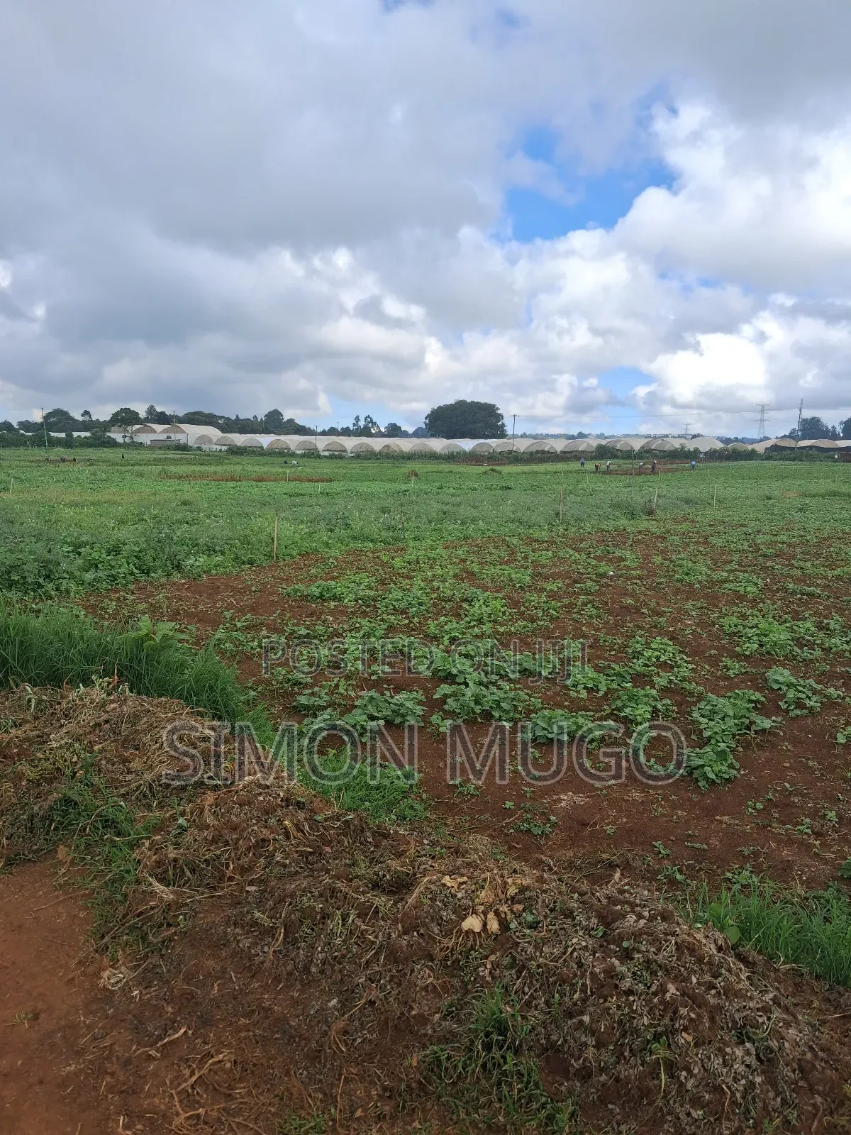 Redhill Limuru Road Prime 1.5 Acres Fairy Flat. Ideal for Town Houses