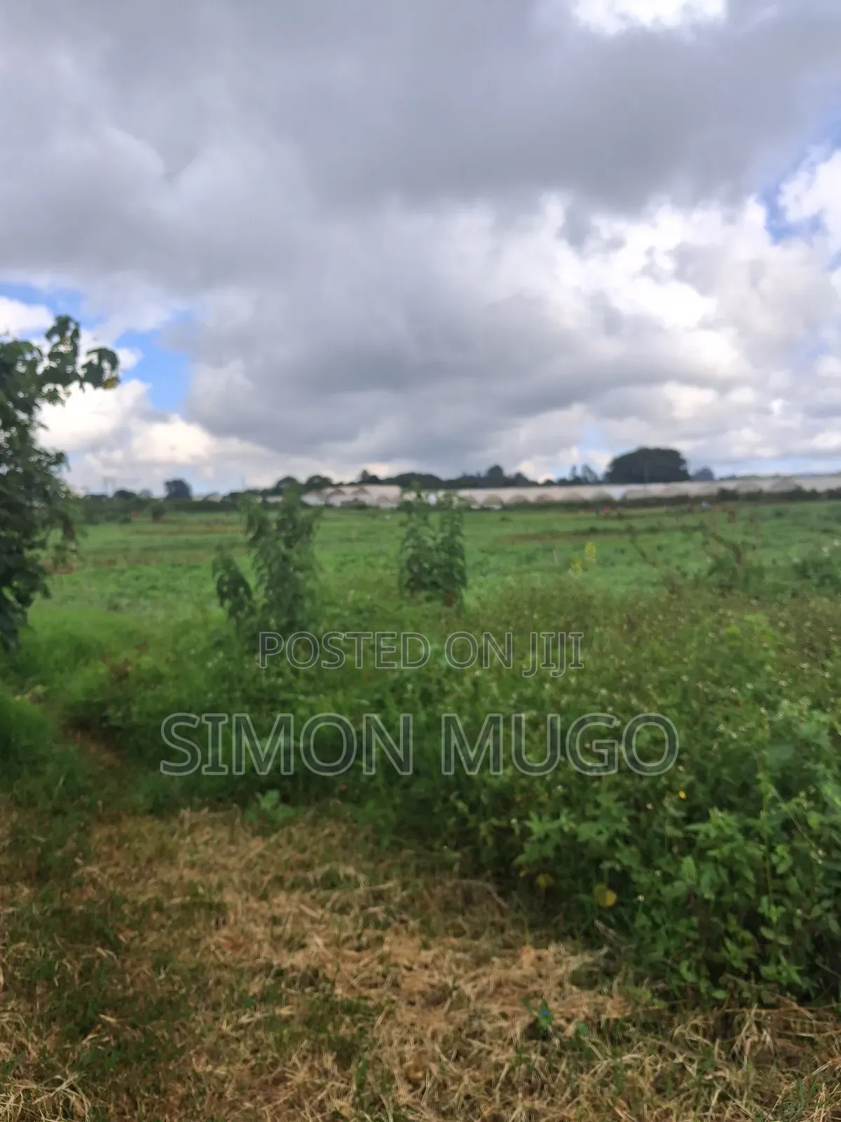 Redhill Limuru Road Prime 1.5 Acres Fairy Flat. Ideal for Town Houses