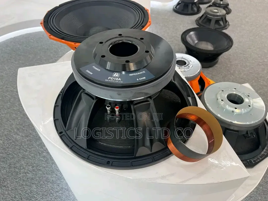 Bm Pd1881 Professional Speaker With 5inch Voice Coil and 300 Mm Magnet