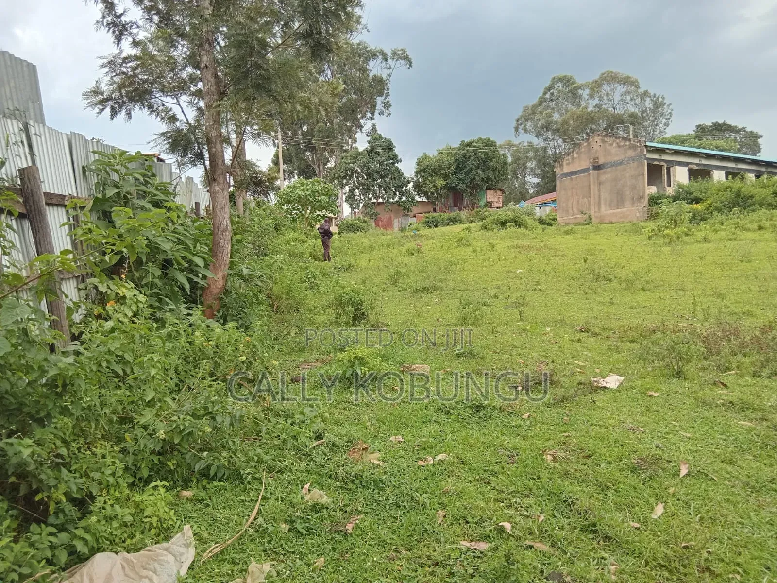 1⁄2 an Acre in Kakamega, Near Cereal Board