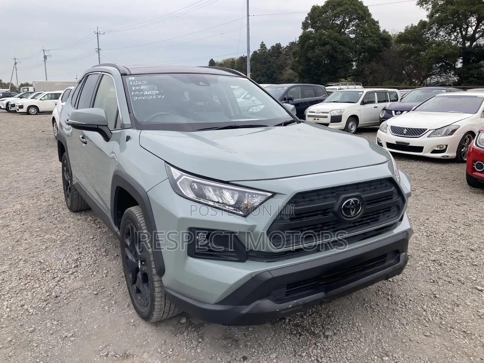 Toyota RAV4 Adventure 2019 Green