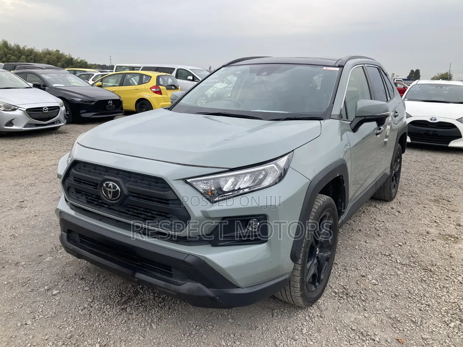 Toyota RAV4 Adventure 2019 Green