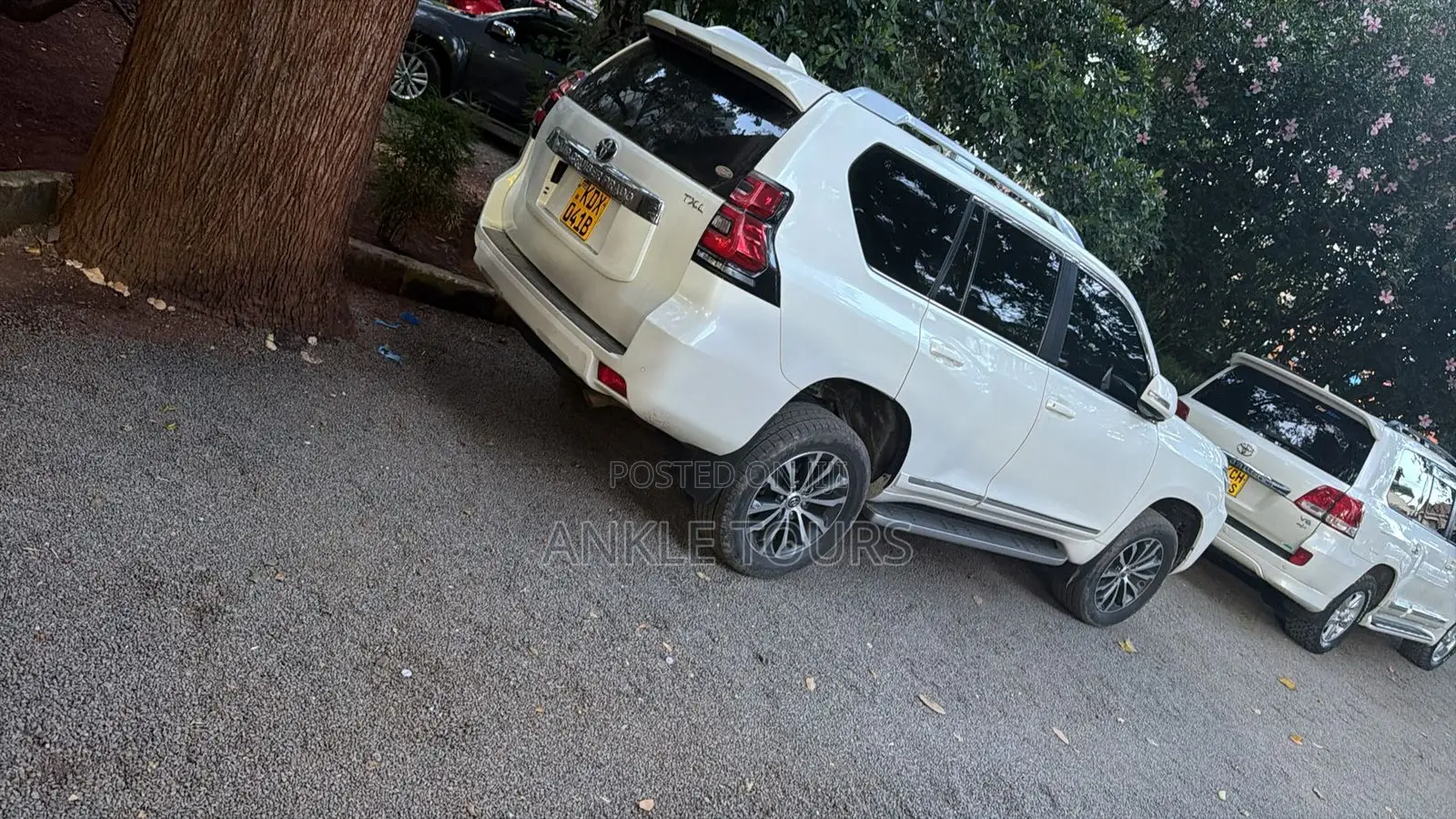 Land Cruiser Prado Tx/TXL for Hire