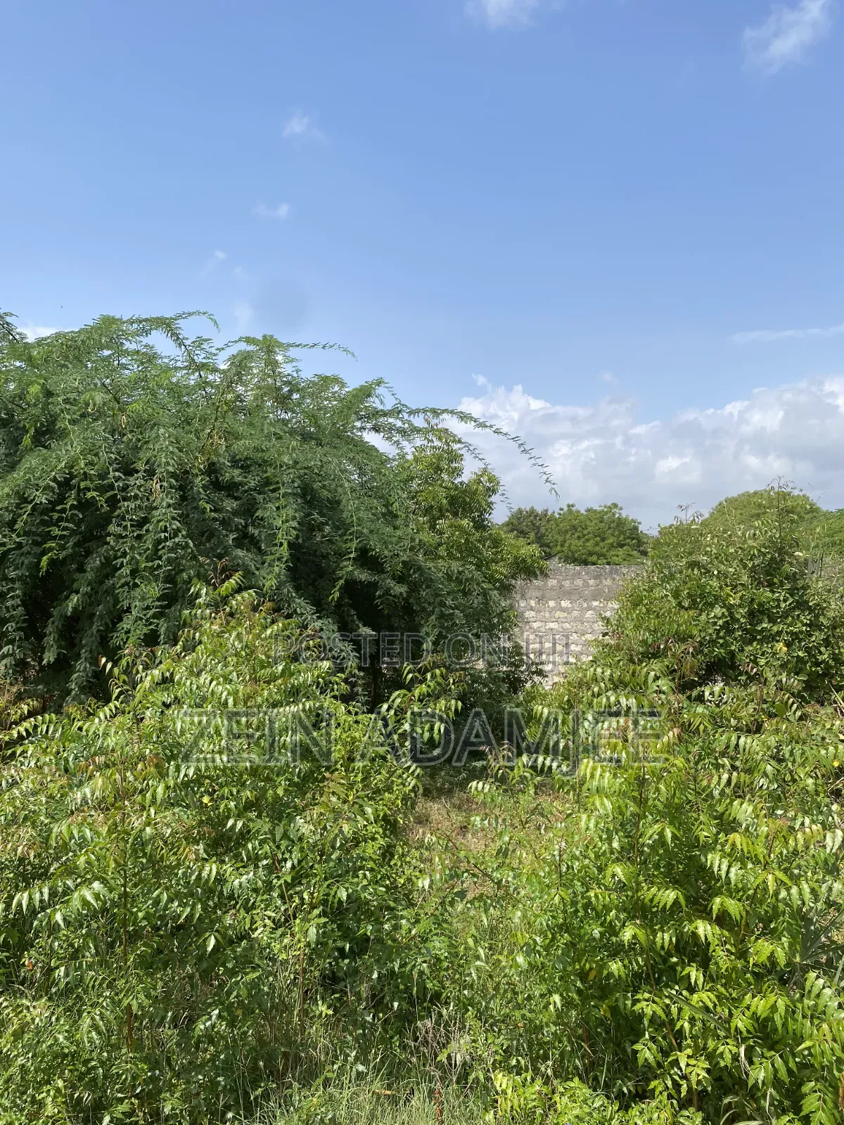 Half Acre for Sale Kibokoni Malindi