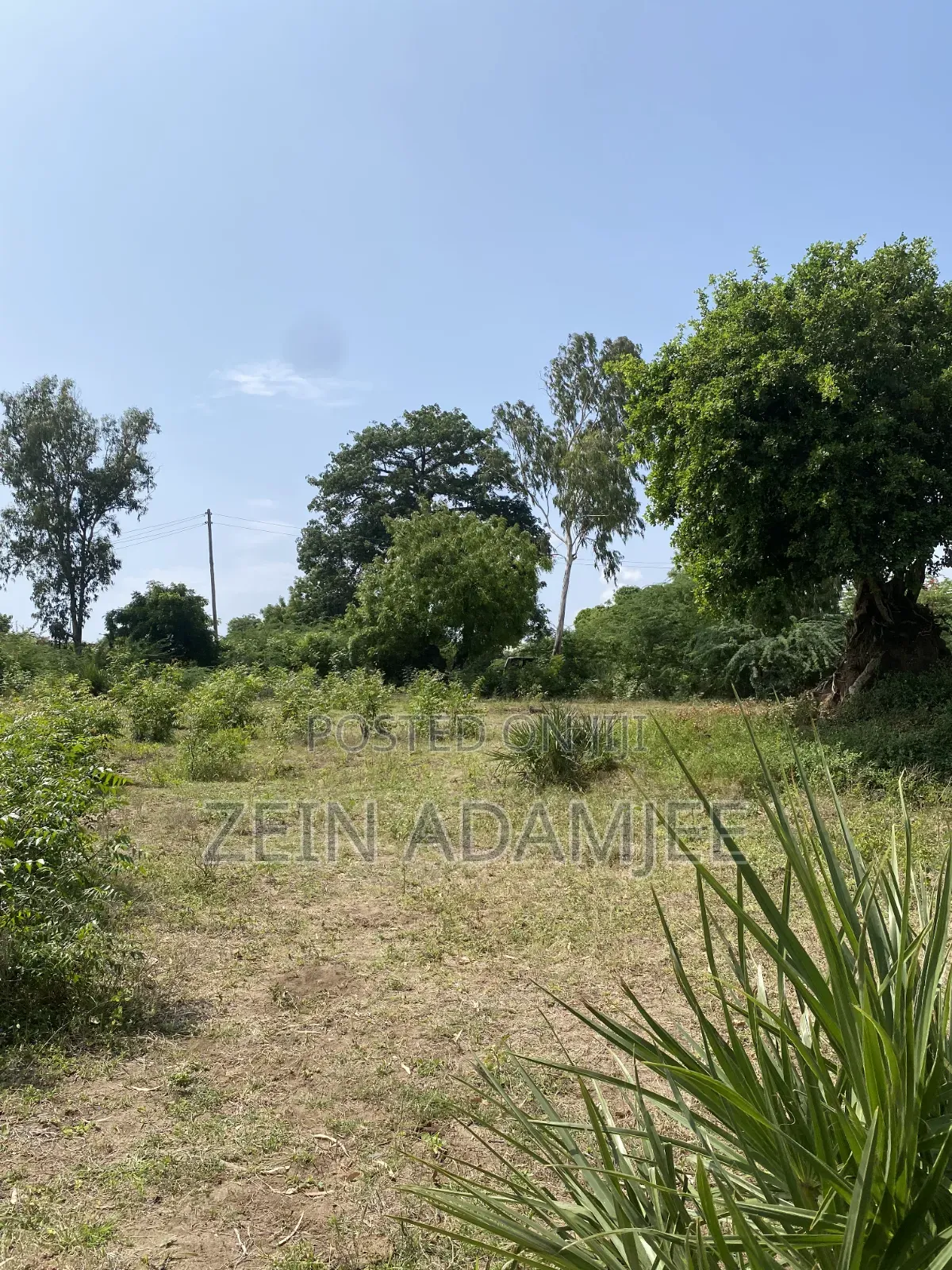 Half Acre for Sale Kibokoni Malindi