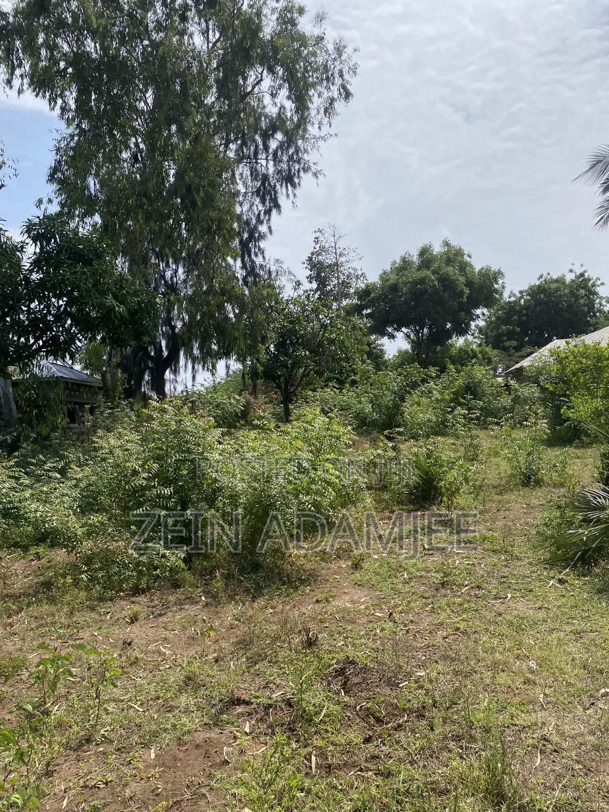 Half Acre for Sale Kibokoni Malindi