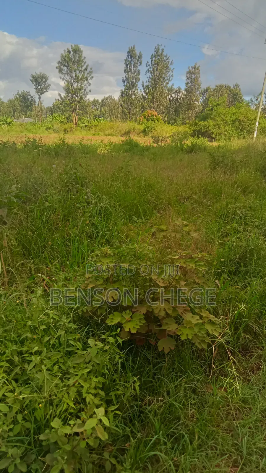 Half an Acre for Sale at Mbombo