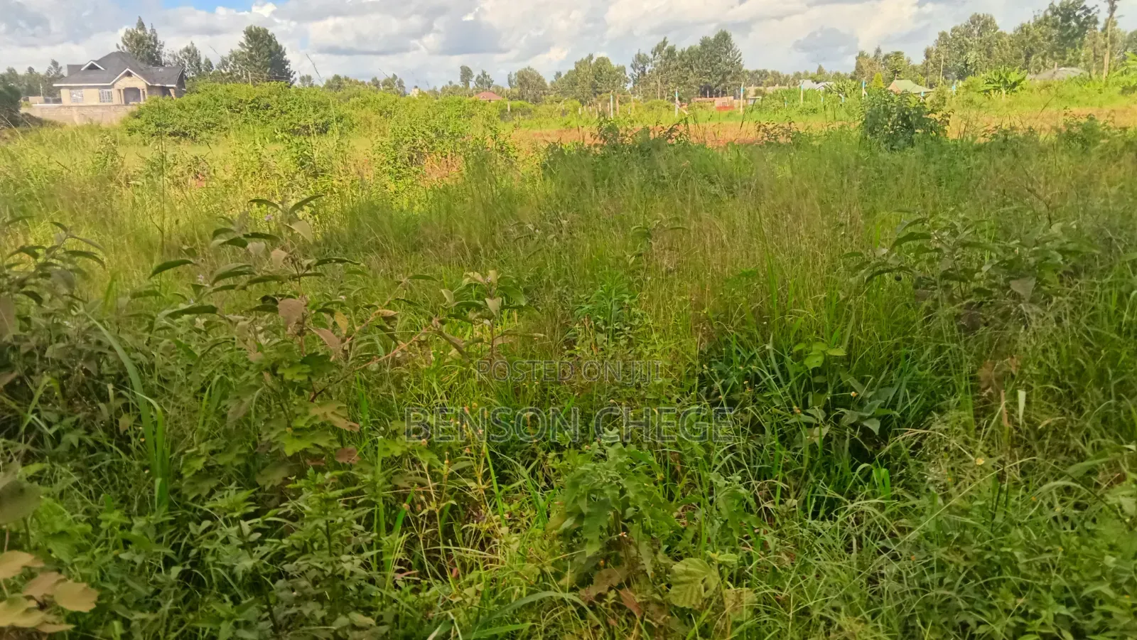 Half an Acre for Sale at Mbombo