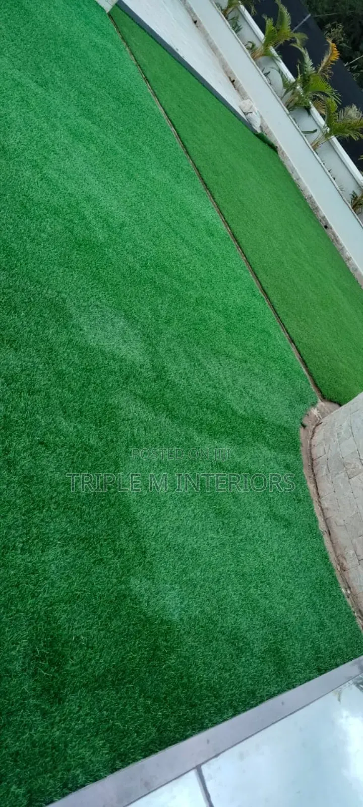 Cozypatio Green Carpet