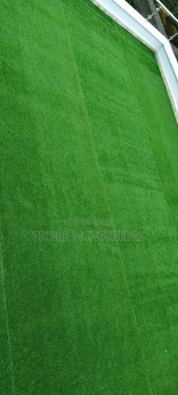 Softluxe Garden Carpet