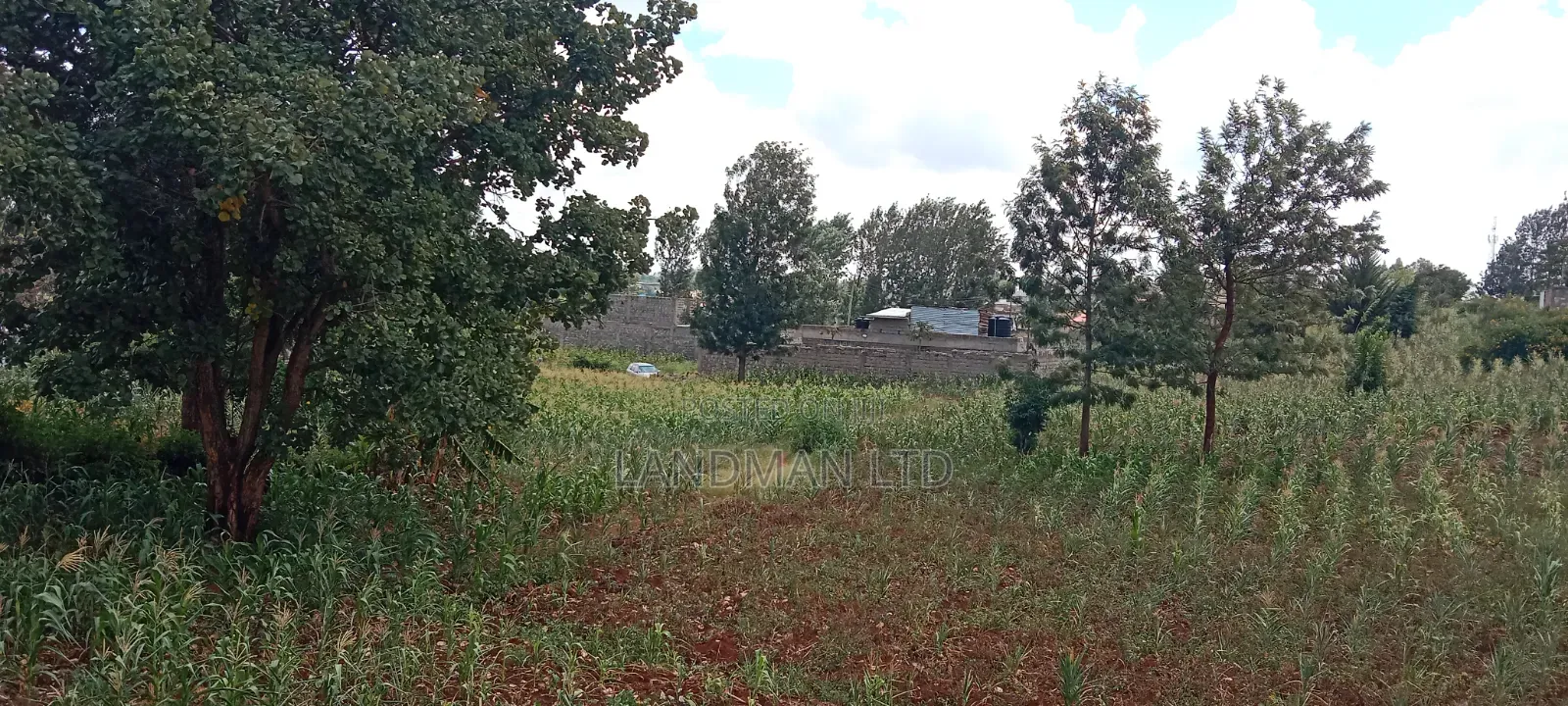 Kenol-Gathanje Estate Plot