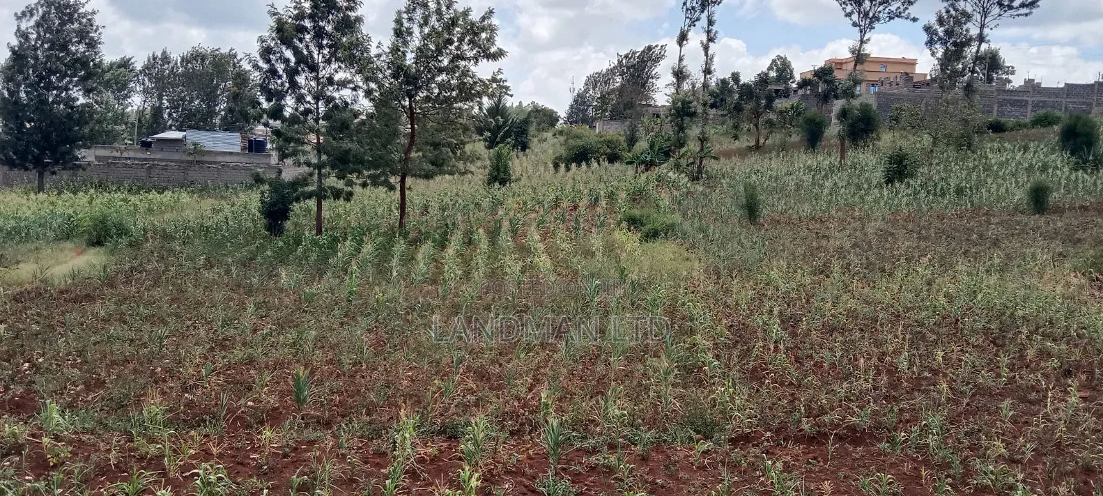 Kenol-Gathanje Estate Plot