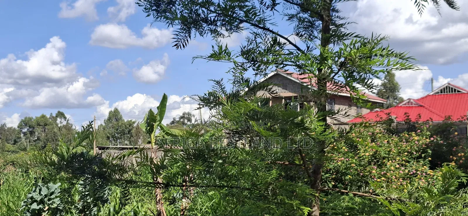 100x100 Residential Plot for Sale in Gikambura (Rio Nderi) – KSH 6.7m