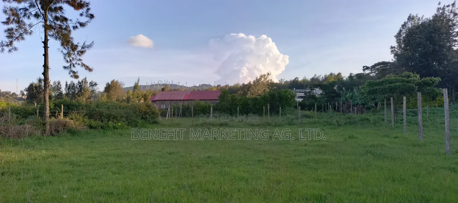 50*100 Plot for Sale in Ngong Maragara Road