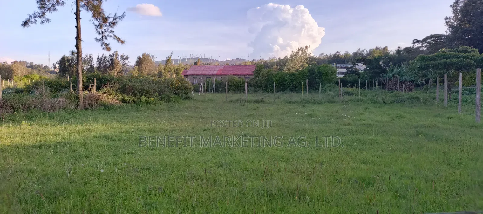 50*100 Plot for Sale in Ngong Maragara Road