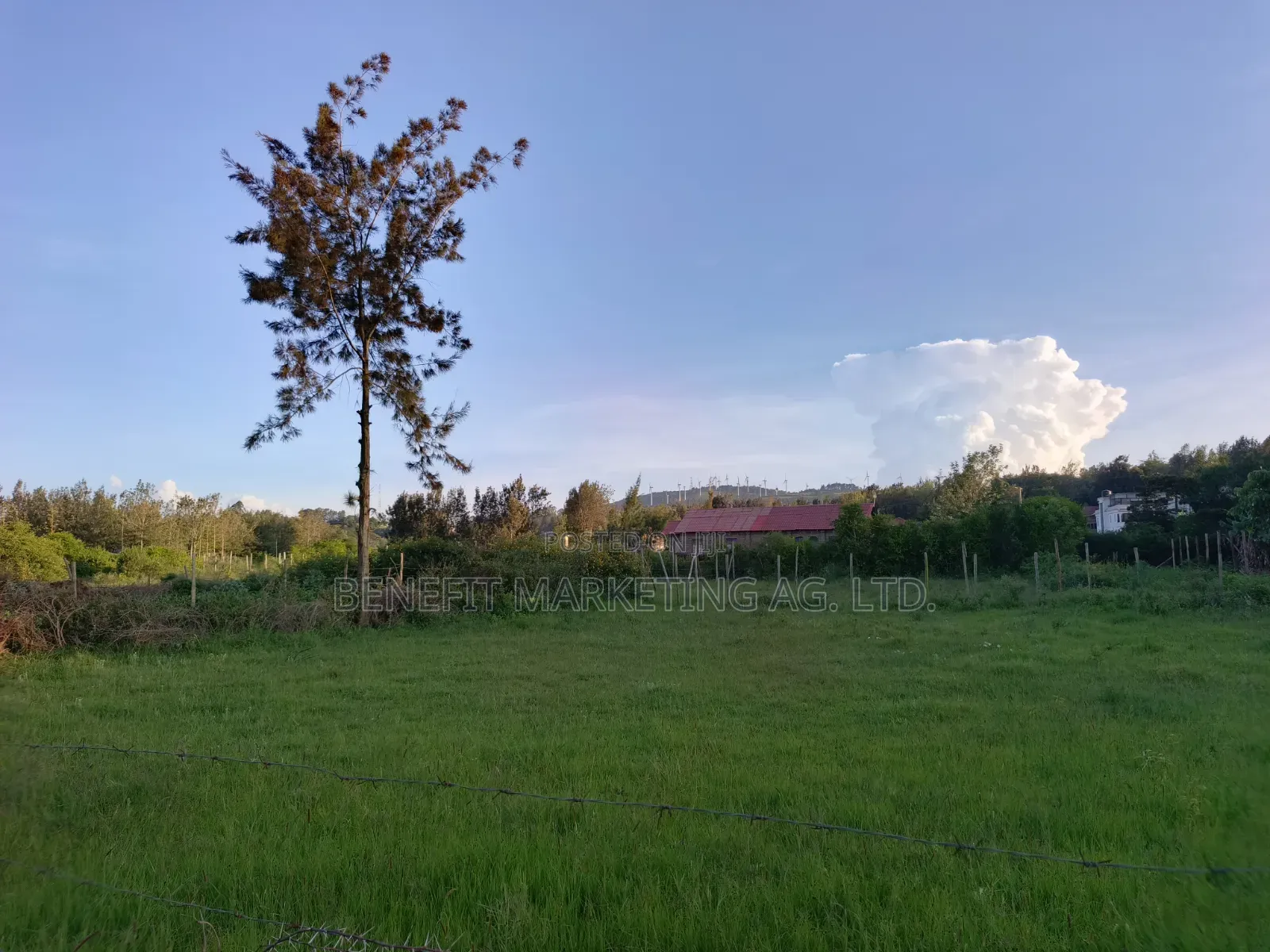 50*100 Plot for Sale in Ngong Maragara Road