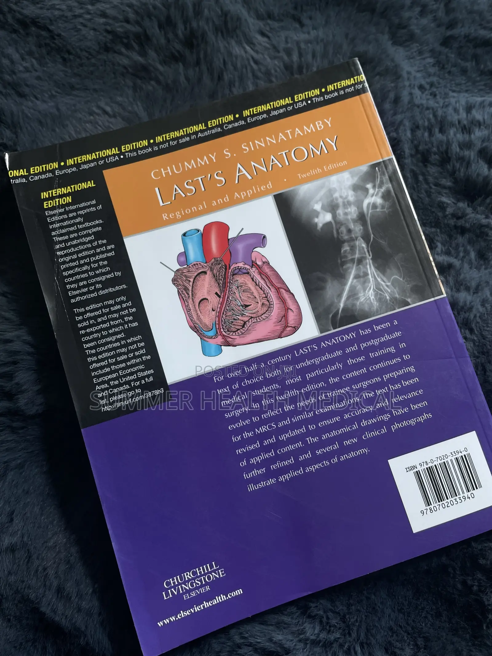 Last’S Anatomy