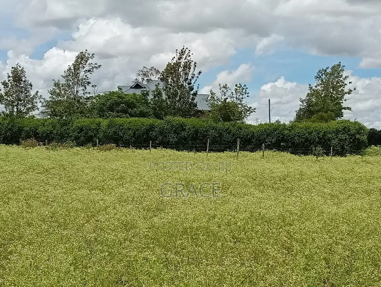 Prime Residential Plots for Sale in Kisaju – Near Mua University