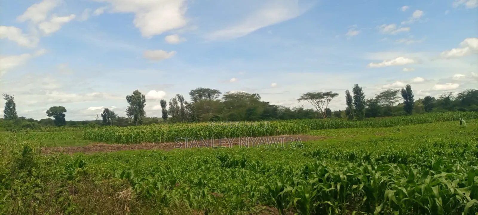 40 Acre Fronting River and Tarmac Road Nanyuki Lamuria