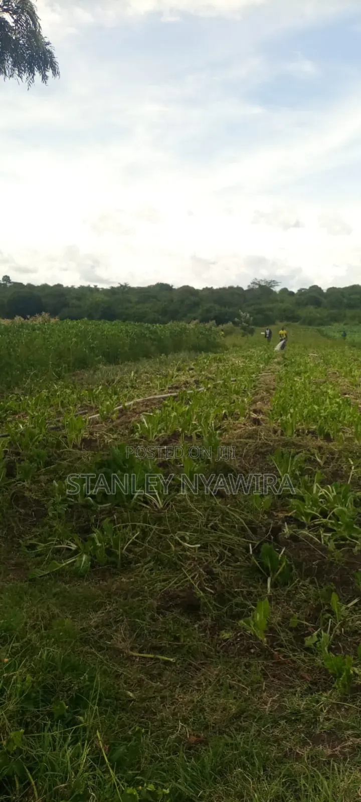 40 Acre Fronting River and Tarmac Road Nanyuki Lamuria