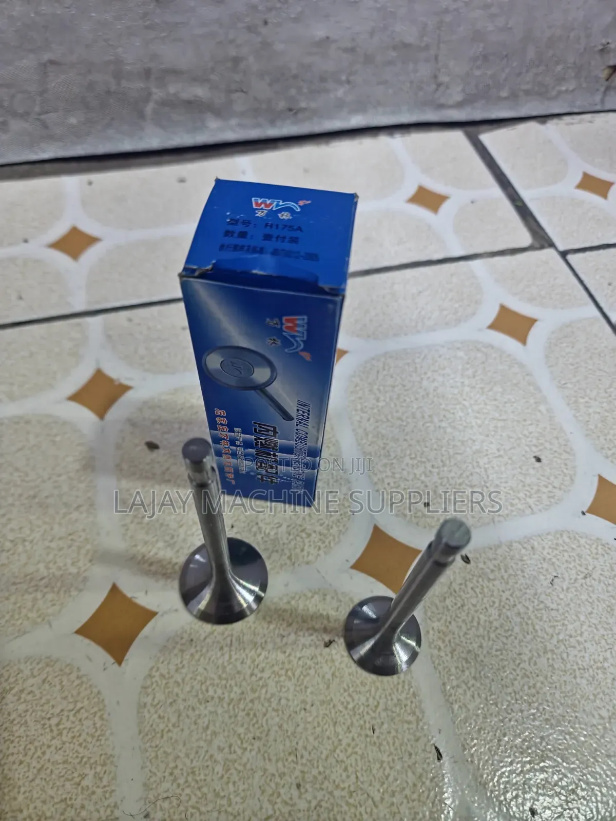 R175 Diesel Engine Valves