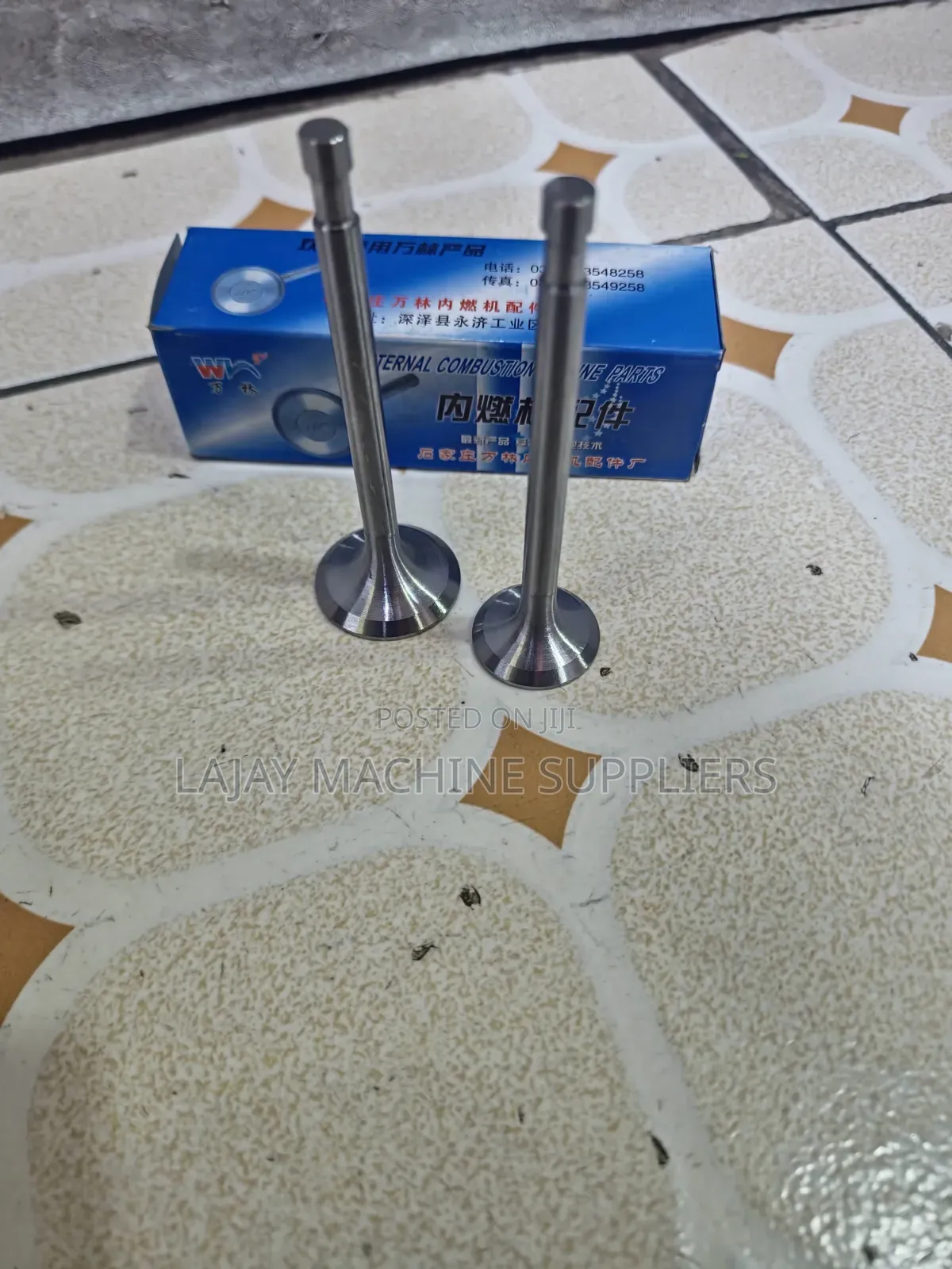 R175 Diesel Engine Valves