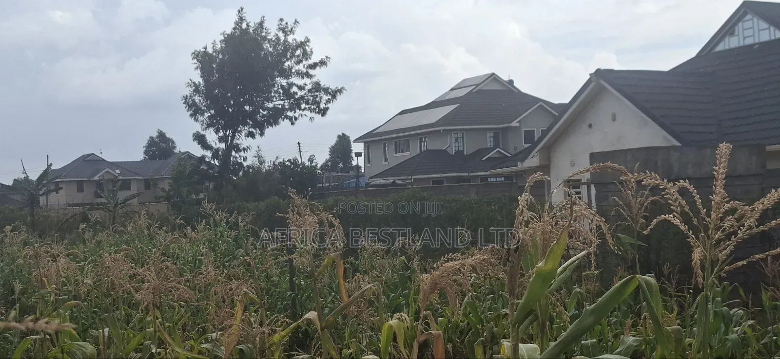 Prime Residential Plots for Sale – Kikuyu (Nairobi Ndogo Estate)
