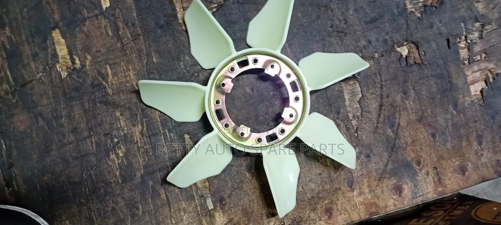 Toyota Shark 5l Fun
