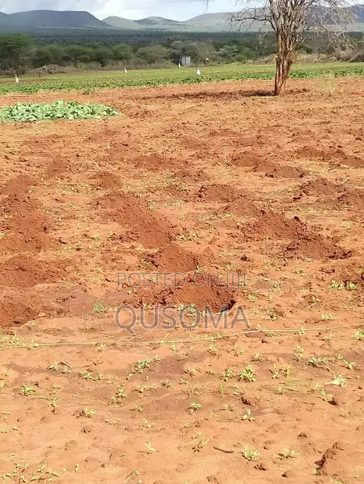 16 Acre at Mailua, Mile Tisa, Ready to Make You Money, Dragon Fruits