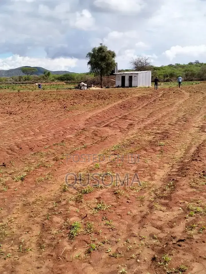 16 Acre at Mailua, Mile Tisa, Ready to Make You Money, Dragon Fruits