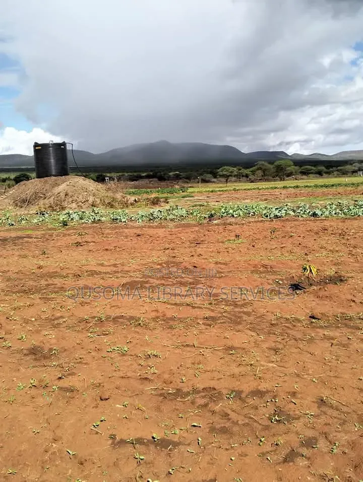 16 Acre At Mailua, Mile Tisa, Ready To Make You Money, Dragon Fruits