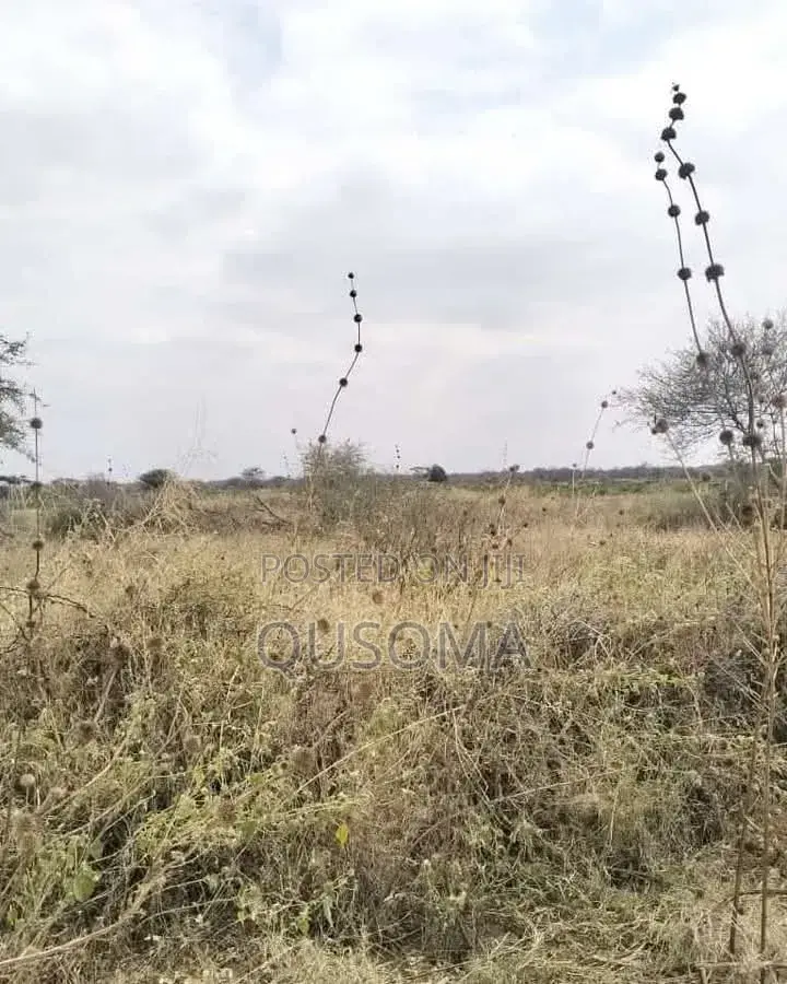 16 Acre at Mailua, Mile Tisa, Ready to Make You Money, Dragon Fruits