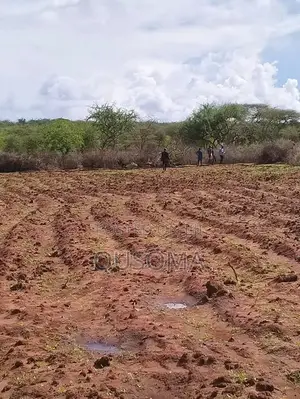 16 Acre at Mailua, Mile Tisa, Ready to Make You Money, Dragon Fruits
