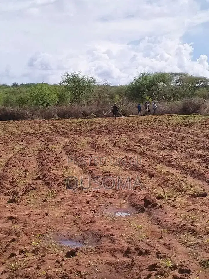 16 Acre at Mailua, Mile Tisa, Ready to Make You Money, Dragon Fruits