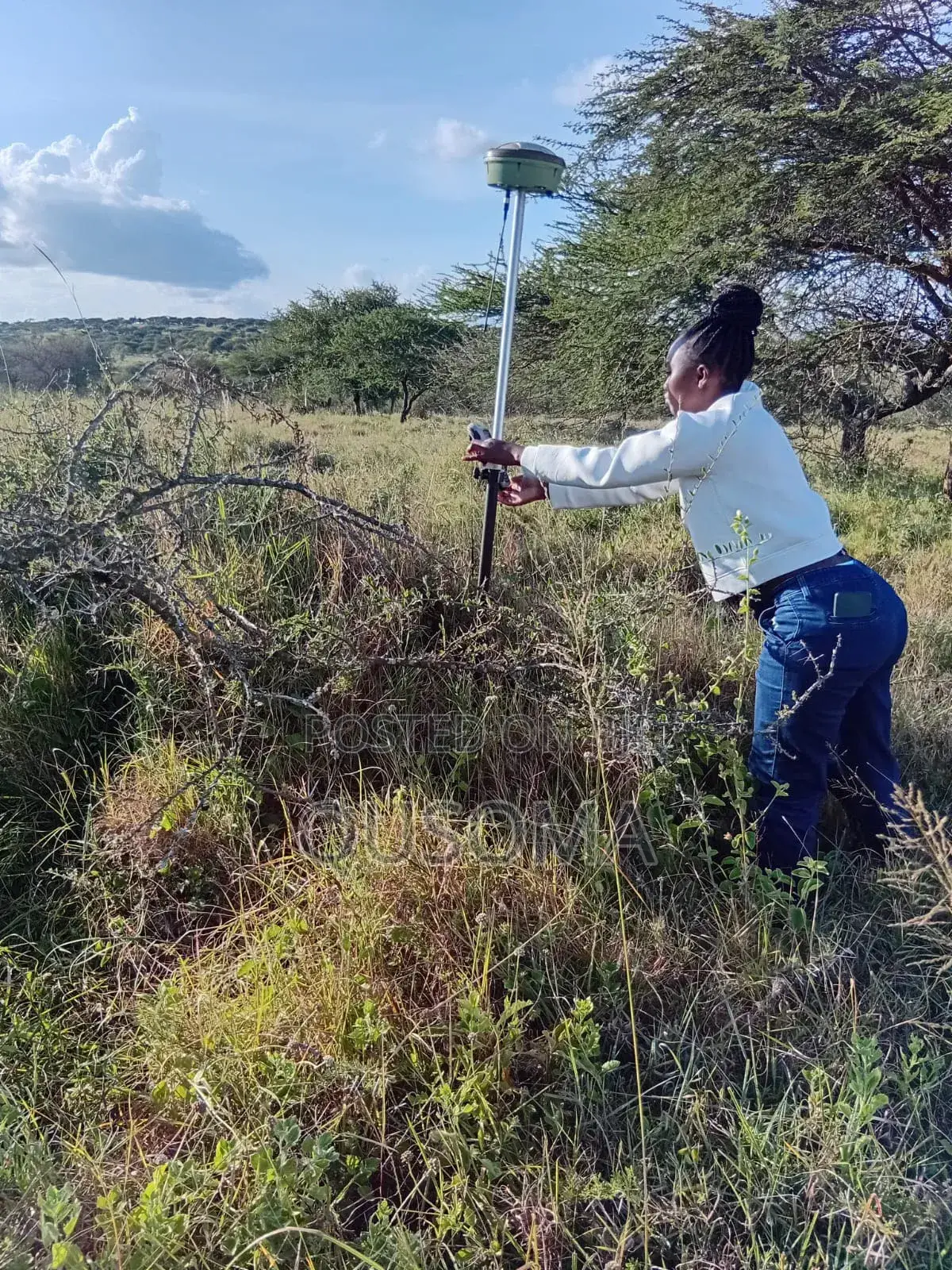 16 Acre at Mailua, Mile Tisa, Ready to Make You Money, Dragon Fruits