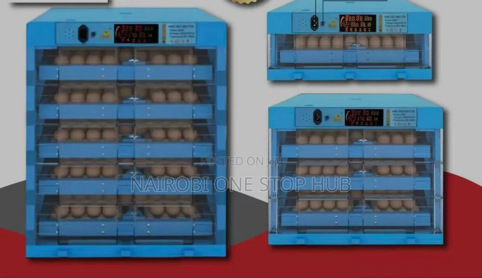 Automatic Egg Incubators Ac/Dc With Automatic Rollers.