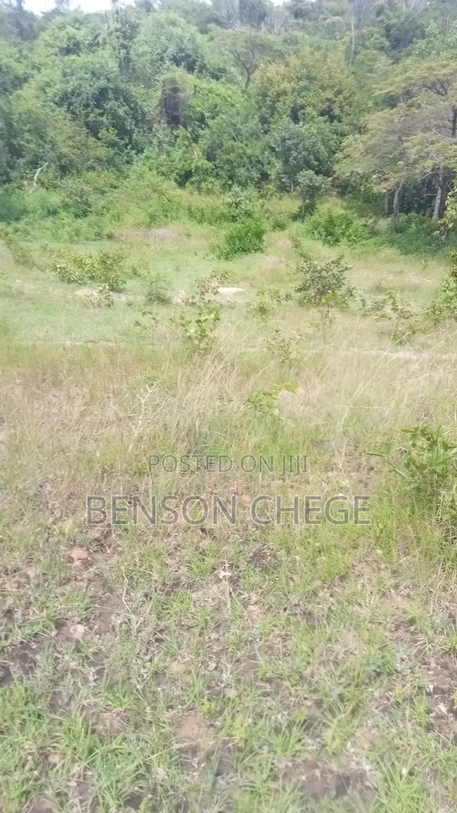 Quarter Acre for Sale at Maragua Ridge