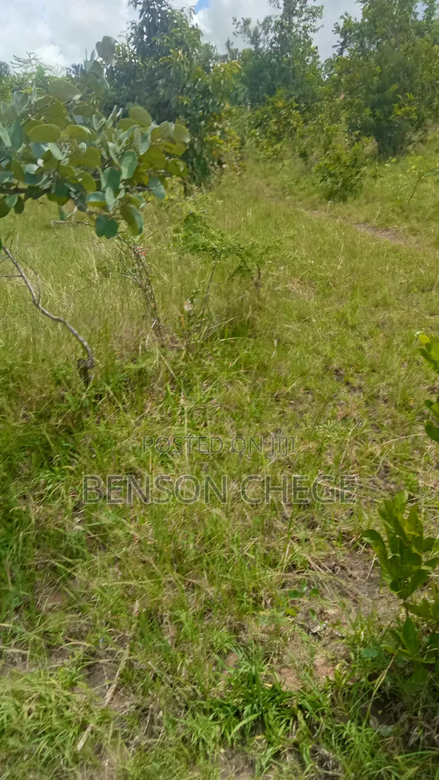 Quarter Acre for Sale at Maragua Ridge