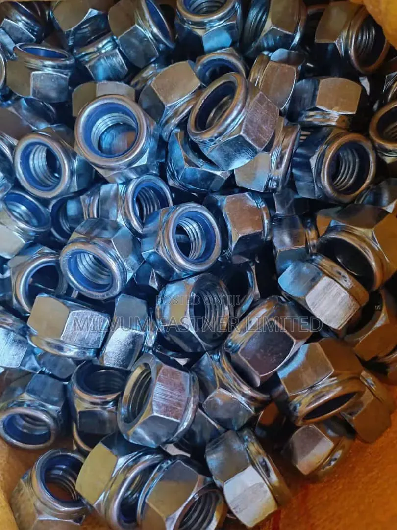 Hex Lock Nuts
