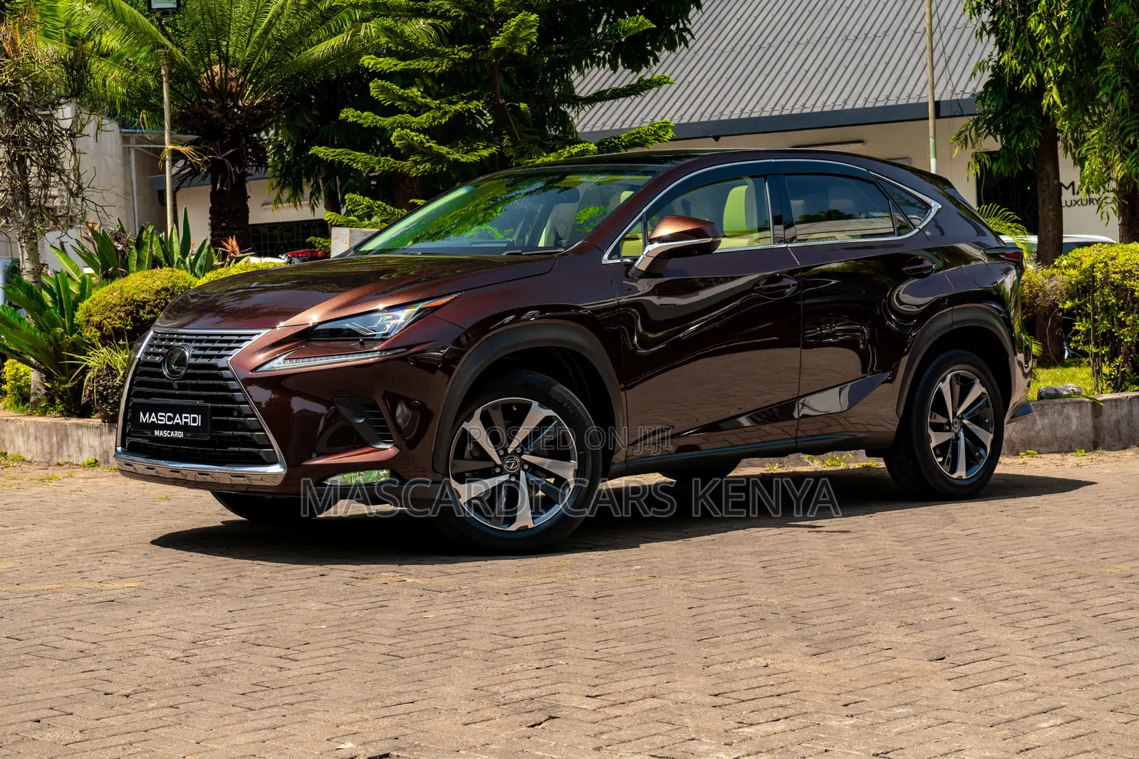 Lexus NX 300 AWD 2018 Brown