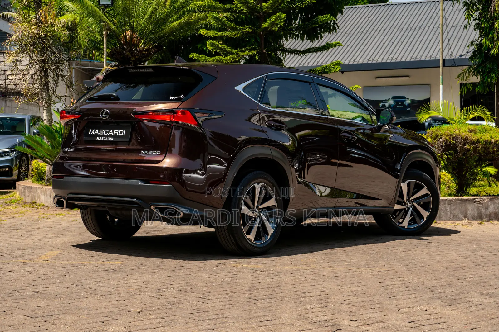 Lexus NX 300 AWD 2018 Brown