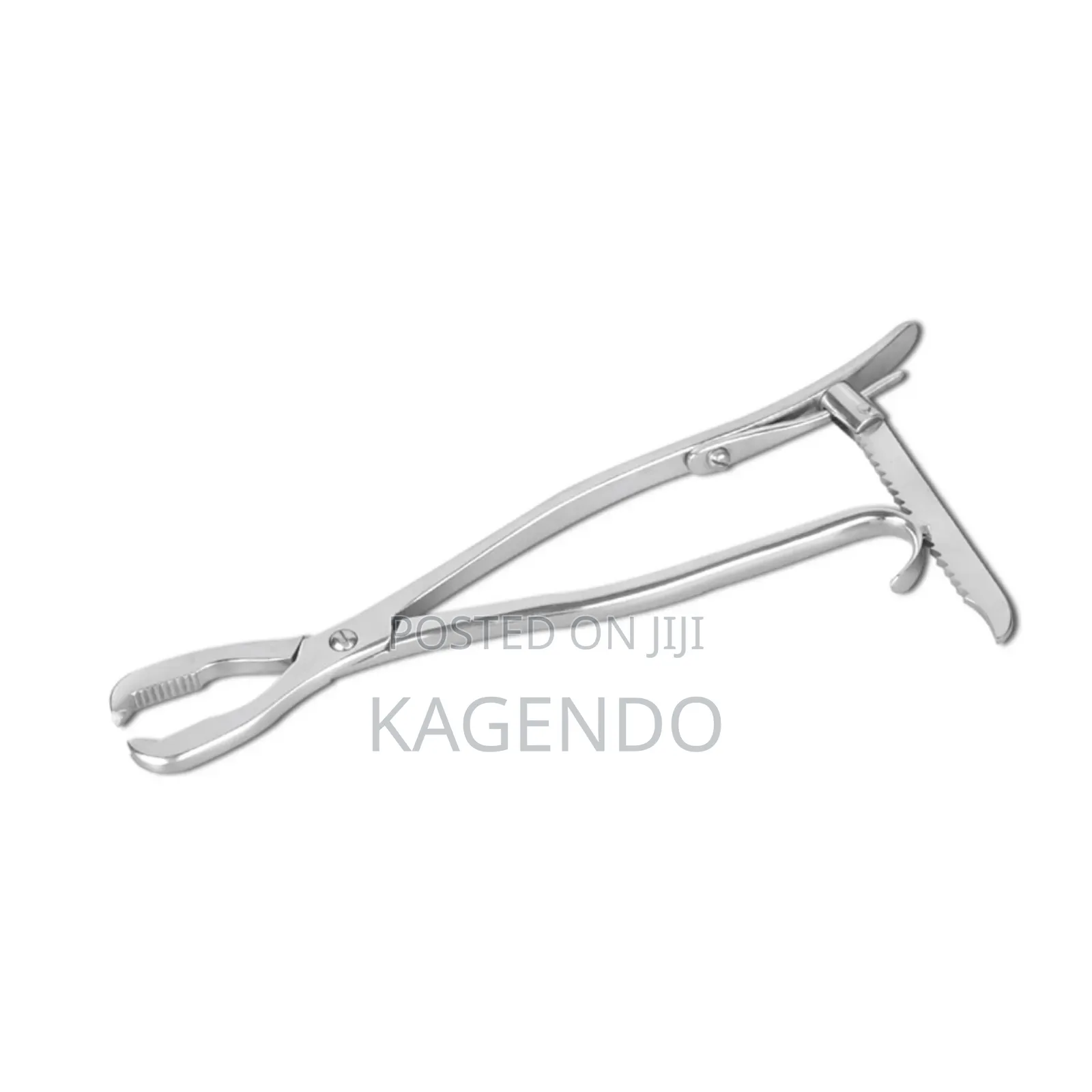 Lane Bone Holding Forceps