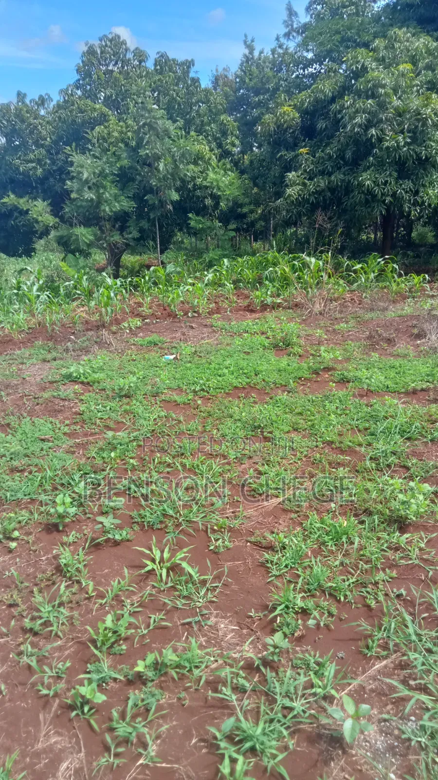 1acre Land for Sale at Maragua Ridge