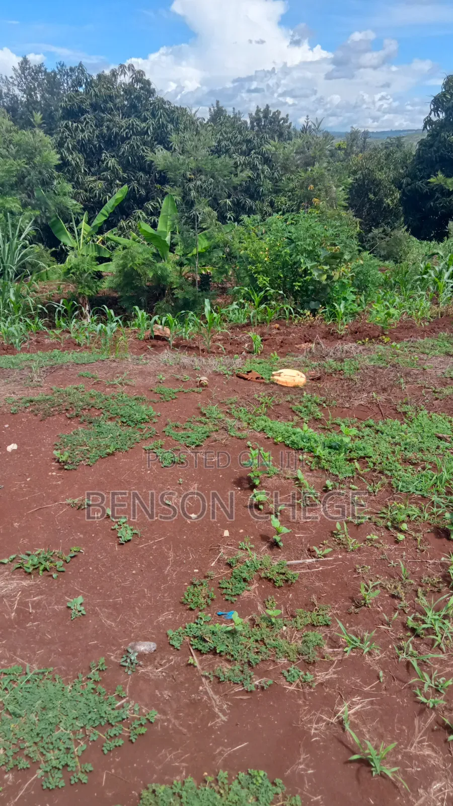 1acre Land for Sale at Maragua Ridge