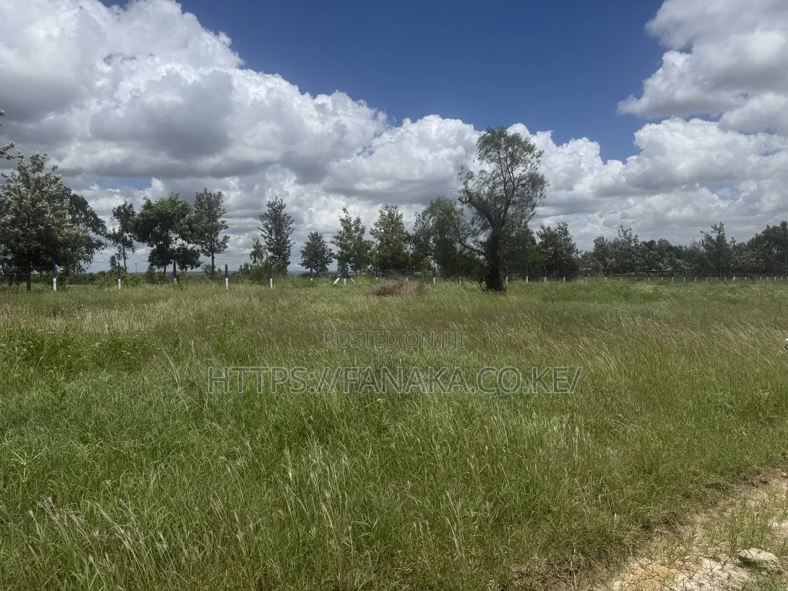 Hotcake Plots in Prime Kinanie.^Bw
