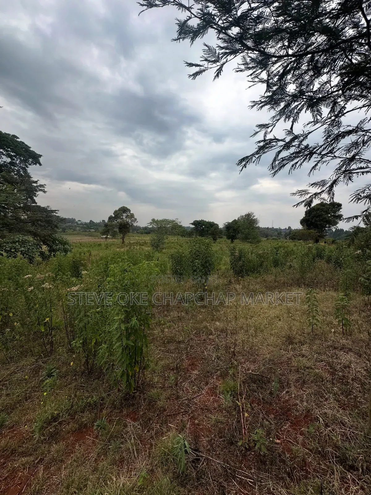 Clean Title Karen Land for Sale Kerarapon 3rd Drive: Half 1⁄2-Acre