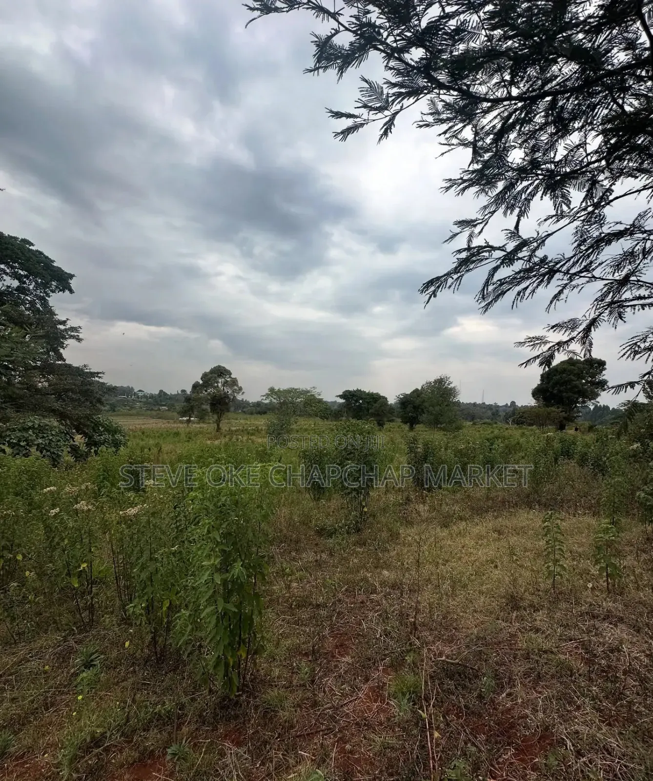 Clean Title Karen Land for Sale Kerarapon 3rd Drive: Half 1⁄2-Acre